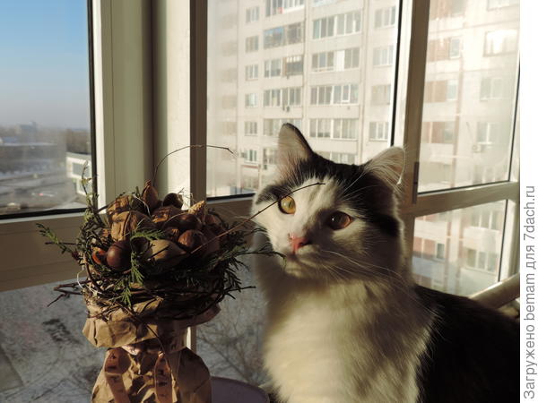 Ореховый брутальный букет.