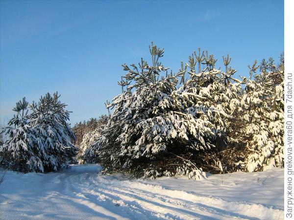 Вот такая зима была в 2012 году