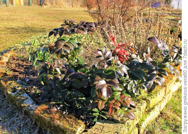 фото от 02.04.2019