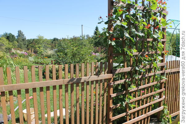 шпалера-заборчик