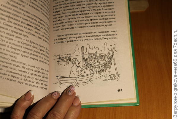 рисунки автора