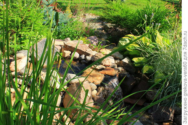 исток ручья - водопадик
