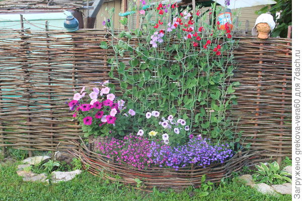 Это было в 2015 году