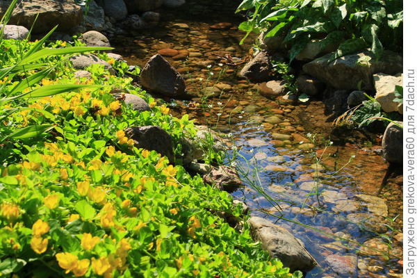 заросший в меру бережок