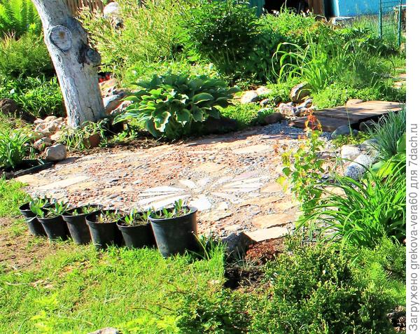 Рассада в горшках