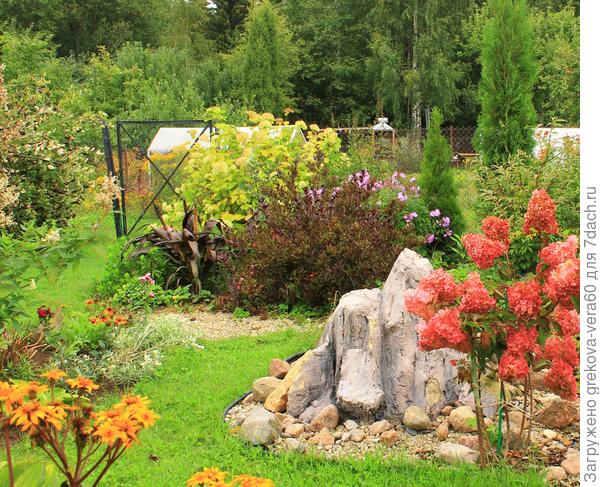 В гармонии с другими растениями