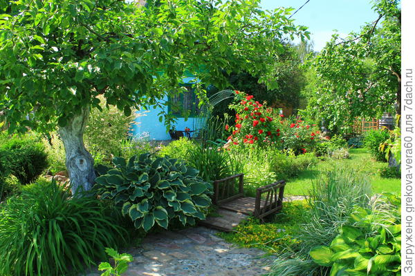 королева моя