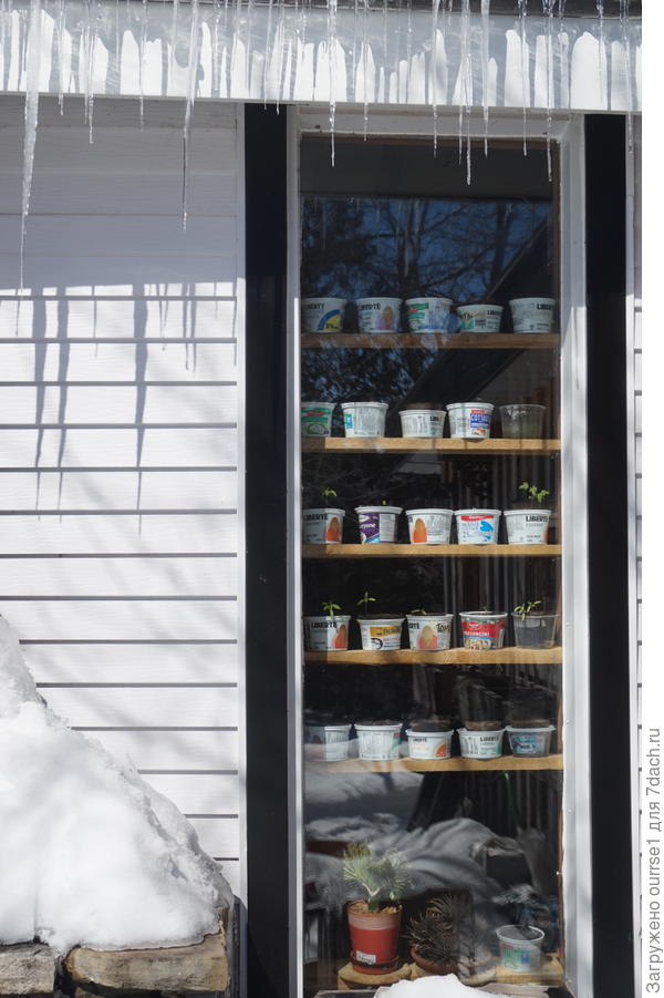 Тут коту "не масленица" : )))