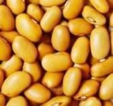 У нас растет похожая на эту желтая фасоль.