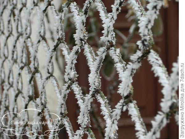 иней на заборе