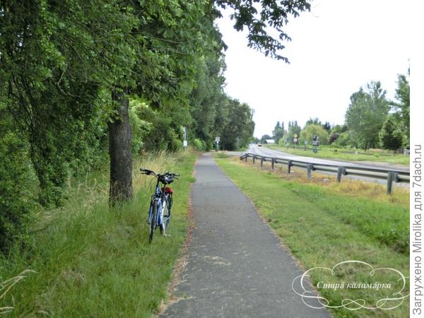 Велодорожка рядом с трассой