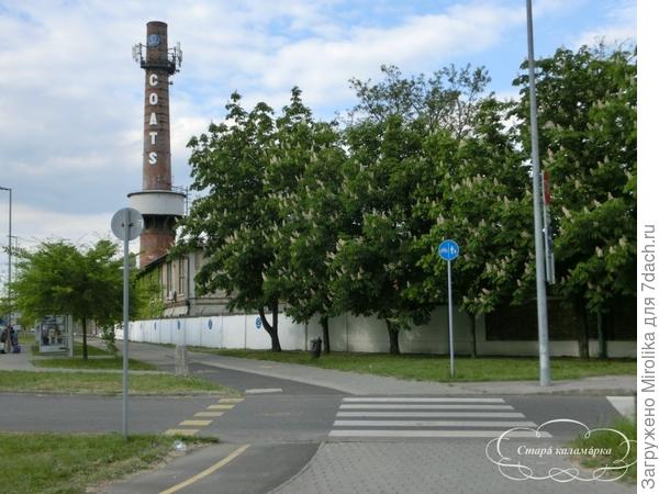 Слева двухсторонняя велодорожка совмещенная с тротуаром в Будапеште.  Это не центр города, поэтому нет светофора, но часто, есть отдельные светофоры только для велосипедистов.