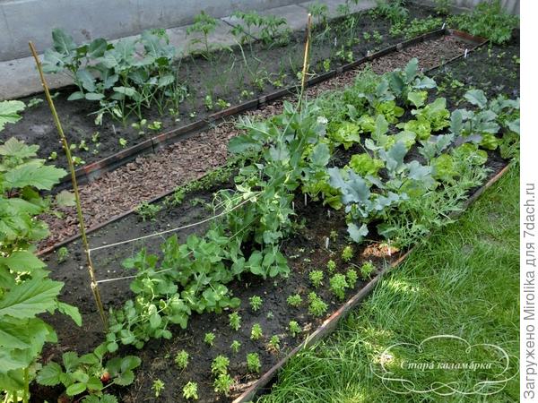 как в коммунальной квартире - каждому по комнатушке))