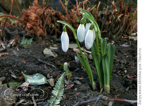 Здравствуйте!