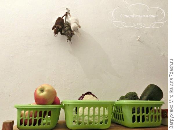 И поменьше нам вредителей)))