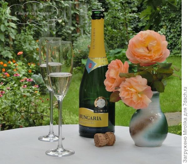 С благодарностью из Будапешта!