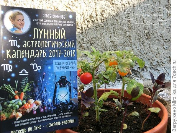 С таким календарем, мои урожаи возрастут!