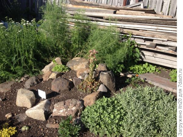 Вот такую стрелу оно  выдало мне в этом году!