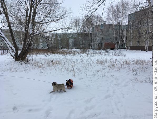 Песам нравится:)