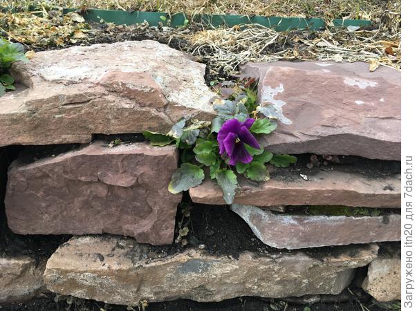 Только снег сошел, ну разве не чудо!