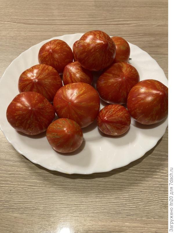 Painted Ledy. Вот такие нарядные куполочки.