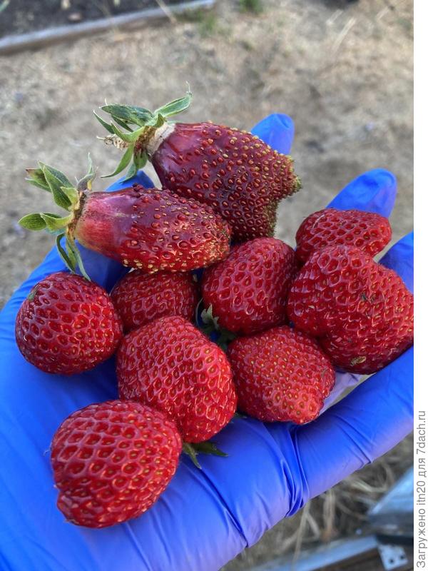 И немного вкусностей!