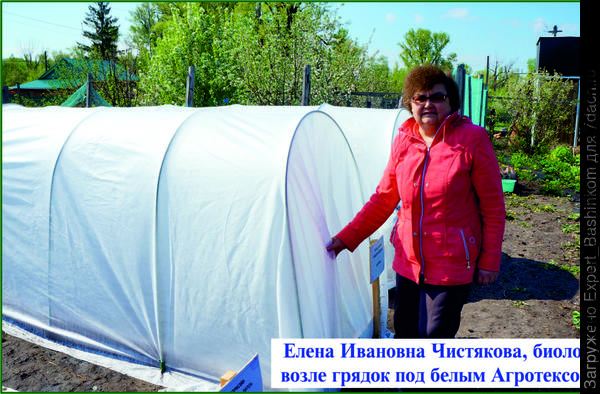 Агротекс