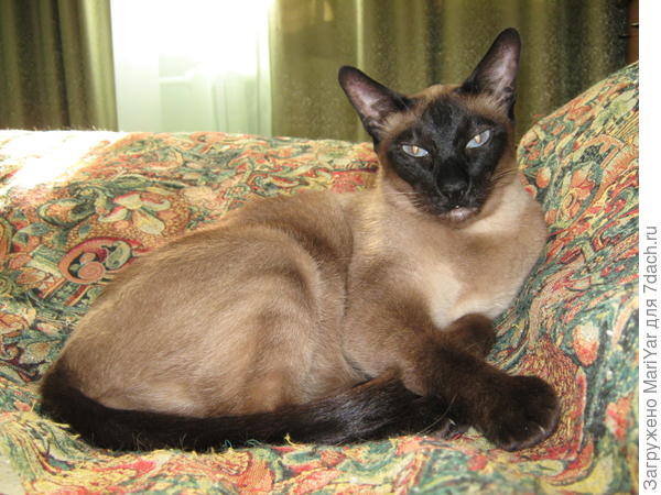 моя Лизаветка