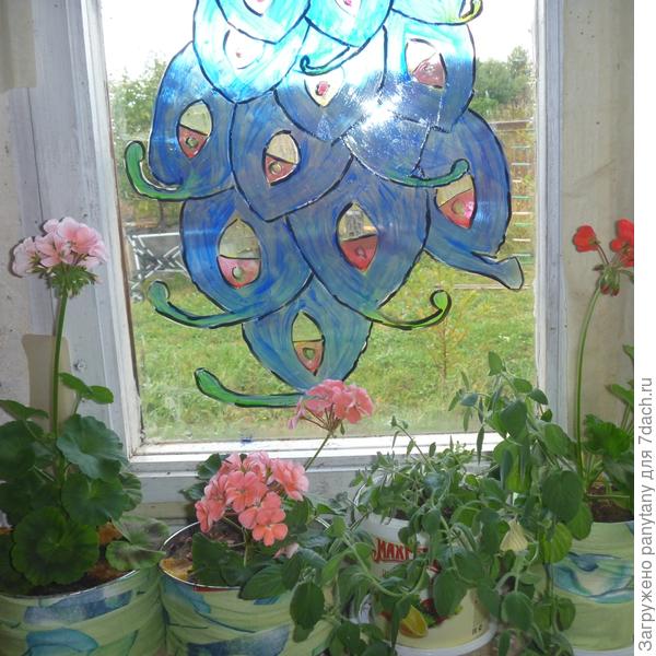 мята на подоконнике