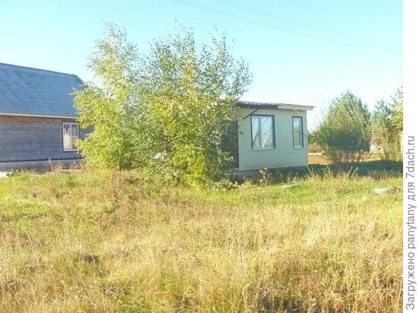 Соседская береза мешает что делать