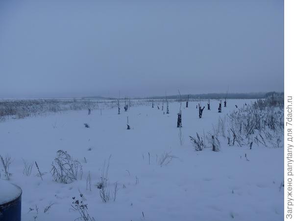 укрыла сад