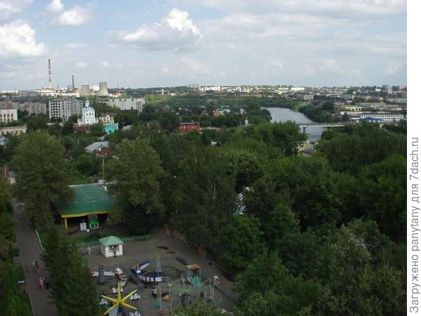 много зелени Орел