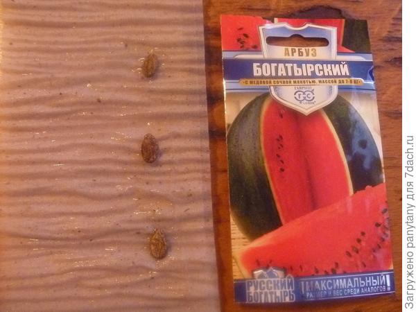 &quot;улитка&quot; вид изнутри&quot;