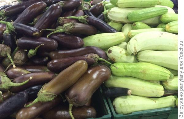А это второй сбор баклажанов и кабачков на продажу подготовлен! Уже нет сил перерабатывать! Весь урожай синеньких выращен в теплицах! В открытом грунте они у меня съедаются подчистую колорадским жуком((