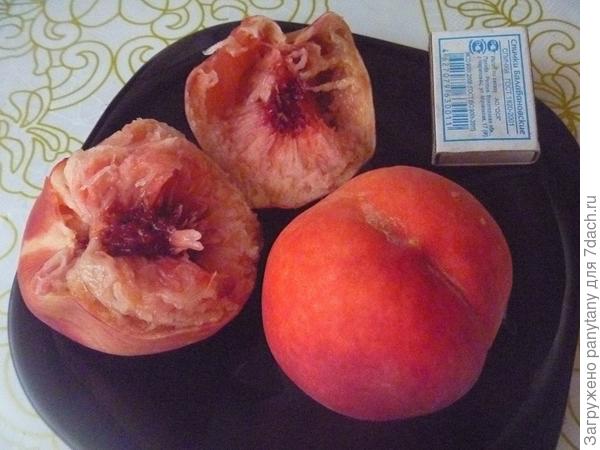 Как вырастить персик из косточки. Руководство