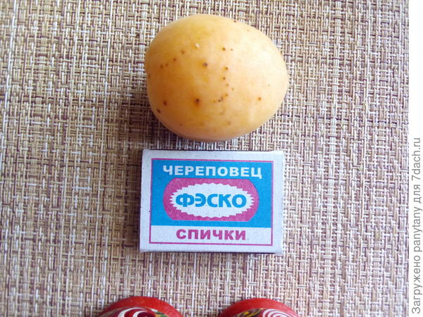 снегирь