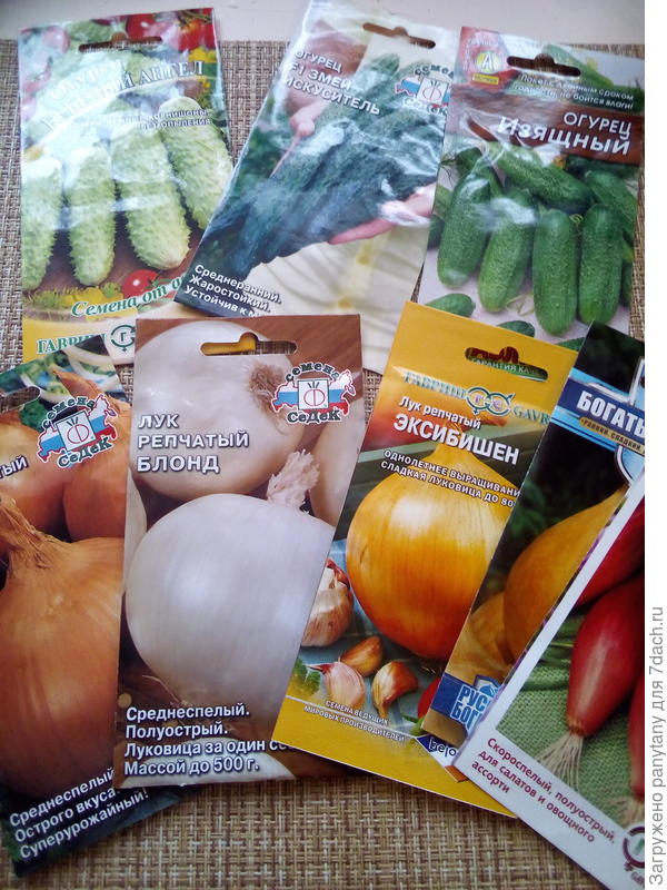огурцы с луками из семян