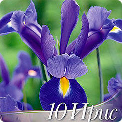 фото с сайта