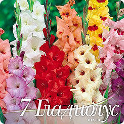 фото с сайта