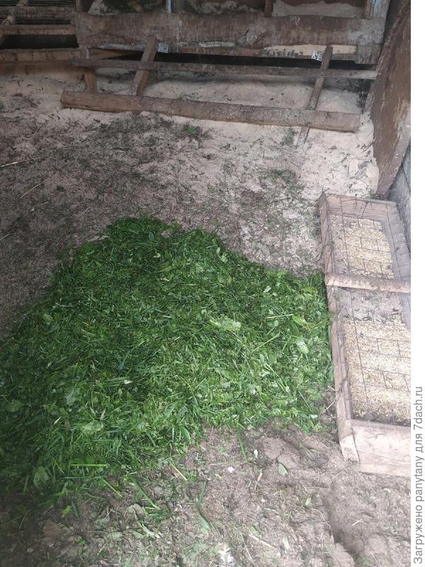 использование измельченной травы в птичнике