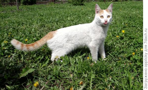 вот вам всем ...