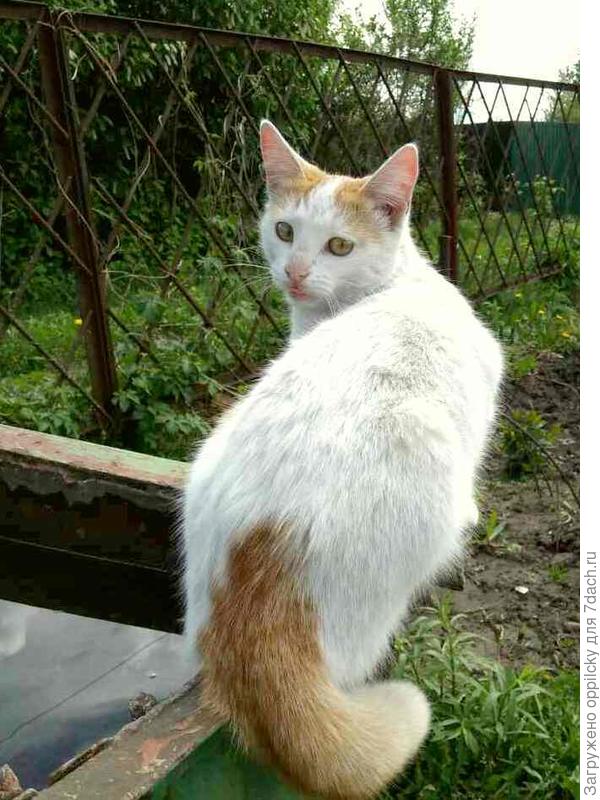 Красота страшная сила