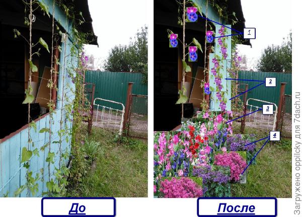 до и после