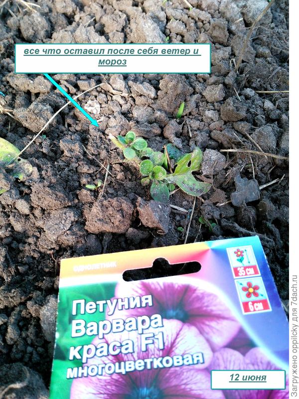 последствия непогоды