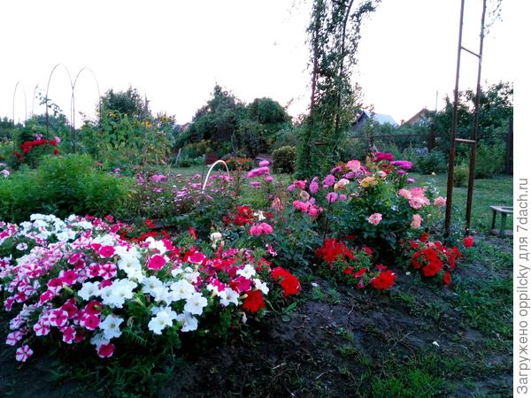 крупный план