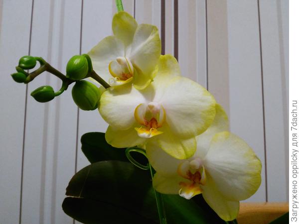 Улыбаемся и машем!