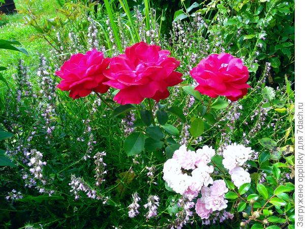 "Групповое фото"