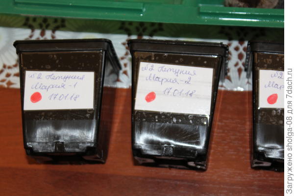 Подписываю каждый стаканчик индивидуально.