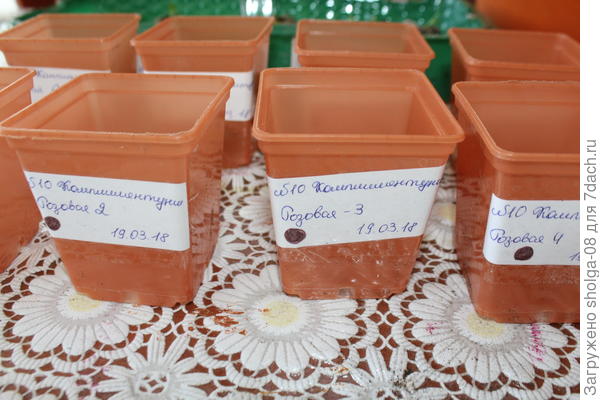 Подписываю