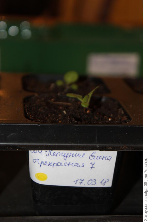 Уже на месте